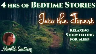 4 HRS Continuous Relaxing Stories for Sleep | INTO THE FOREST | Cozy Bedtime Stories for Grown Ups