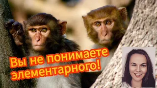 Аферисты путаются во времени и фамилиях // Василиса против мошенников