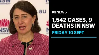 NSW Premier Gladys Berejiklian cancels daily COVID press conference | ABC News