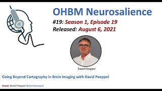 Neurosalience #S1E19 with David Poeppel - Going beyond cartography in brain imaging