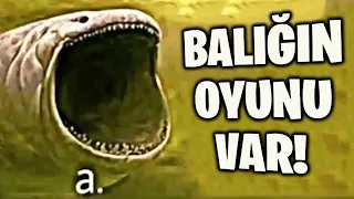 BU BALIĞA OYUN YAPMIŞLARR!