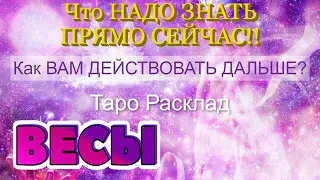 ВЕСЫ 💯❤️‍🔥 ЧТО Вам НАДО ЗНАТЬ ПРЯМО СЕЙЧАС Как Вам ДЕЙСТВОВАТЬ ДАЛЬШЕ Таро Расклад