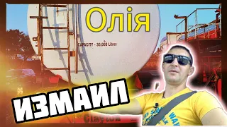 Из ЗАПОРОЖЬЯ в ИЗМАИЛ на МАСЛОВОЗЕ. Дорога в ПОРТ ЖЕСТЬ! №161 #дальнобой