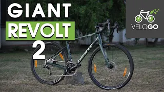 Огляд Giant Revolt 2