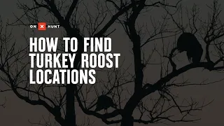 How To Find Turkey Roost Locations