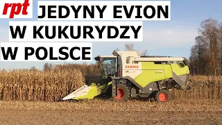 Jedyny w Polsce Claas Evion w kukurydzy i nie tylko