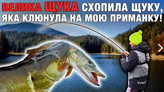 ВЕЛИЧЕЗНА ЩУКА НАКИНУЛАСЬ На ЩУКУ, Яка Клюнула НА МОЮ ПРИМАНКУ!