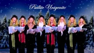 Psallite Unigenito (Michael Praetorius) multitrack a cappella by Julie Gaulke