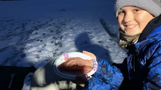 Cooking White Perch on the Ice! Catching White Perch and a Lake Trout!