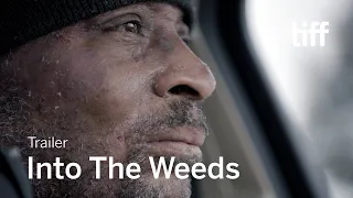 INTO THE WEEDS Trailer | TIFF 2022