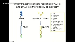 Man S M (2019): The inflammasome: an anti-microbial machinery against bacterial infection