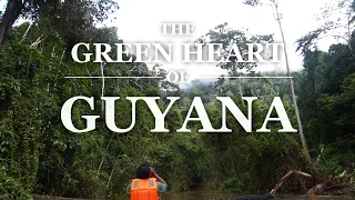 The Green Heart Of Guyana