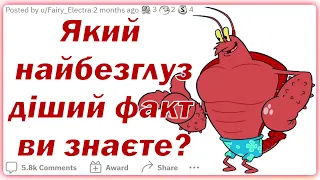 Який найбезглуздіший факт ви знаєте? | Реддіт українською