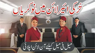 Turkish Airlines Cabin Crew Jobs 2024 - Turkish Airport Job Vacancy 2024 - Turkey Airline Jobs 2024