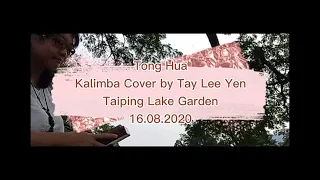 Tong Hua (Fairytale) Kalimba Cover