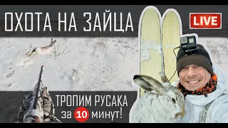 ОХОТА НА ЗАЙЦА В ПРЯМОМ ЭФИРЕ! ОТВЕТЫ НА ВСЕ ВОПРОСЫ!