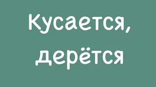 Ребёнок кусается, дерётся