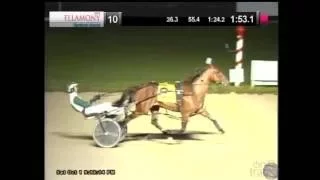 Sandbetweenurtoes - 2016 Ellamony - Flamboro Downs