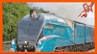 Steam Trains At High Speed Compilation: 150 kph / 90 mph On UK Main Line [Bittern 60019]