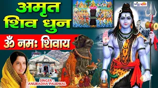 Shiv Dhun Om Namah Shivay By Anuradha Paudwal Om Namah Shivay I Shiv Dhuni #Shreejeebhakti