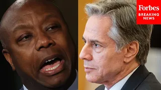 Tim Scott Confronts Antony Blinken About 'Weakness' In Biden Foreign Policy