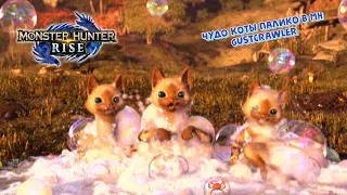 Чудо котики в Monster Hunter