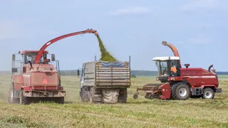 Silage 2022 / MTZ 3522 + KPR-9 / MTZ 82 + GRL-9,6 / 2 KVK-800, a lot of MAZs and MTZ 3022 + PMF-20 /