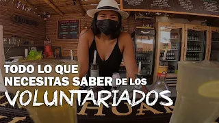 Hablemos de VOLUNTARIADOS ¿Cómo los consigo? ¿Cuánto tiempo duran?¿Comida y alojamiento gratis?