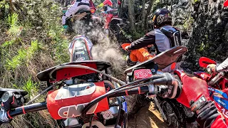 Wild Woods Extreme 🇮🇹 Alessandro Azzalini | Day 1 POV