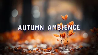 Autumn Ambience 🍂 WIND DOWN Your Long Day 🍂~ 4K HD lofi Fall Radio & Music 2023