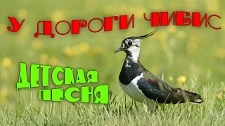 У дороги Чибис🐥Детская песня🎵Children's song