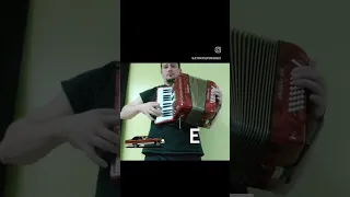 Day #2 - First Week Learning How To Play An Accordion Challenge - Still D.R.E Accordion Cover