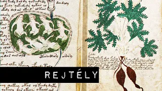 A Voynich-kézirat rejtélye