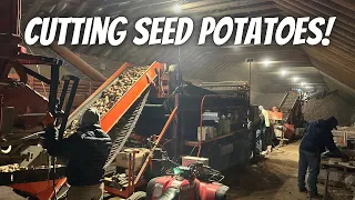 Seed Potatoes! How we cut and store them!