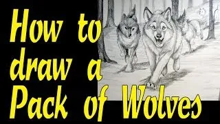 How to draw a pack of wolves