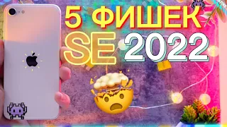 iPhone se 2022, УДИВИЛ! 5 ФИШЕК И ПРИЧИН КУПИТЬ ЭТОТ iphone