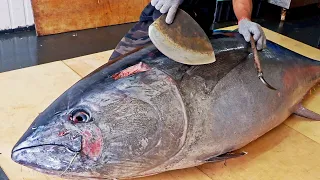 驚人的技巧！巨大黑鮪魚切割大師, 鮪魚金三角/王匠黑鮪魚/500 Pound Giant bluefin tuna cutting Master, Luxurious sashimi