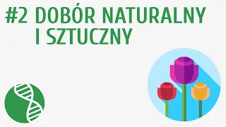 Dobór naturalny i sztuczny #2 [ Ewolucja życia ]