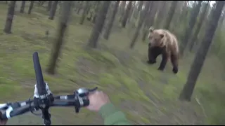 Атака медведя, мужчина пытается убежать от нападающего медведя: GoPro