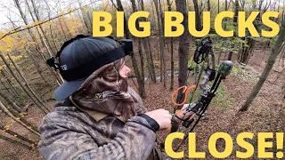 BIG BUCKS CLOSE! | Bow Hunting Public Land | Hunting Pre Rut