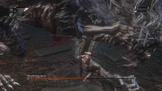 BL4 FRC Bloodletting Beast No Rolling/Dashing/Consumables Flawless Kill