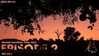 KRUGER NATIONAL PARK 2022  | DAY 3-4 | INCREDIBLE BERG-EN-DAL, LEOPARDS, WILD DOGS & RHINOS