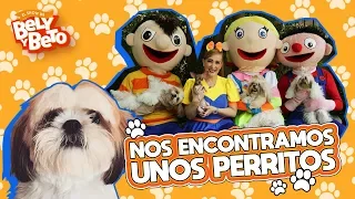 Nos Encontramos unos Perritos - Bely y Beto