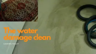 How to clean water damaged carpet  /  The landlord clean