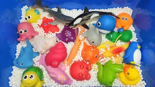 Sea Animals for kids| Sea creatures names & Facts  | Sea animal toys