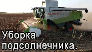 Уборка подсолнечника 2020! CLAAS Lexion 580.