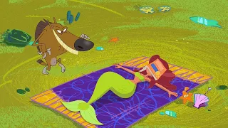 Zig & Sharko 🏖 SUNBATH 🏖 LYING IN THE SUN ☀😎 Cartoons for Children