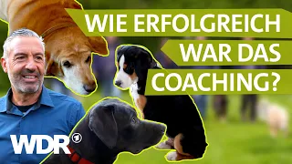 Das Wiedersehen: So haben sich Mensch & Hund entwickelt | Hunde verstehen | S04/E05 | WDR