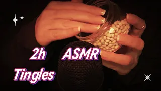 ASMR | Meditation and Serenity | Magical Sounds | No Talking 💤