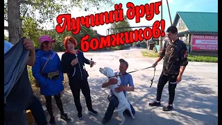 ЛУЧШИЙ ДРУГ БОМЖИКОВ / 288 серия (18+)